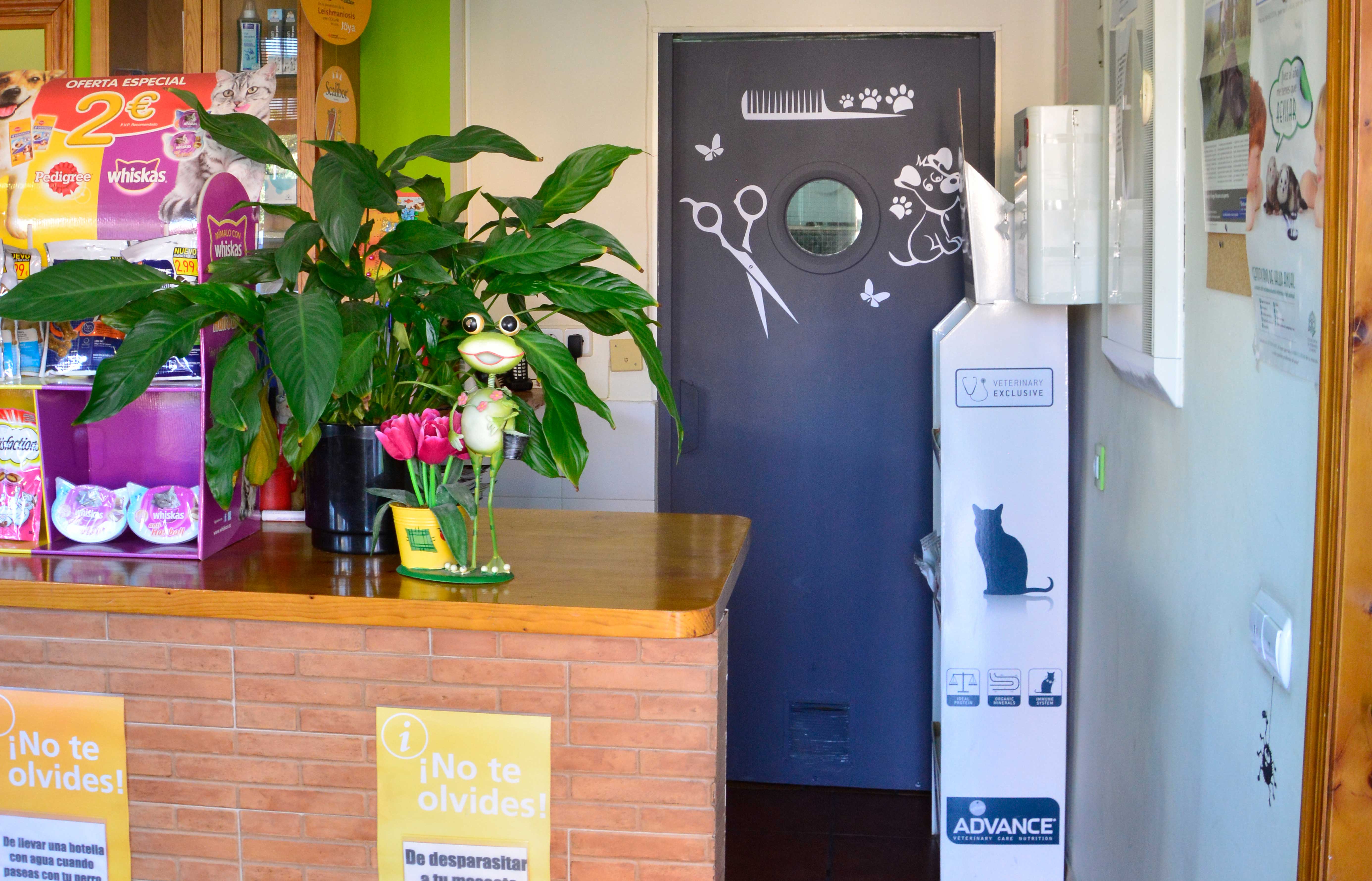 Imagen de nuestro peluquería