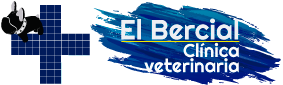 Clínica Veterinaria El Bercial